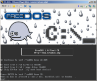 Angehngtes Bild: VMware-FreeDOS-1.png
